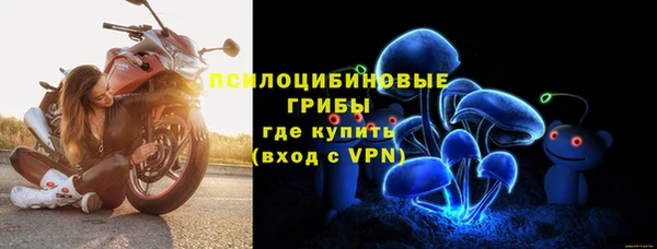 СК Алзамай