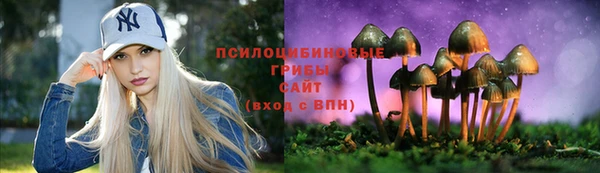 СК Алзамай
