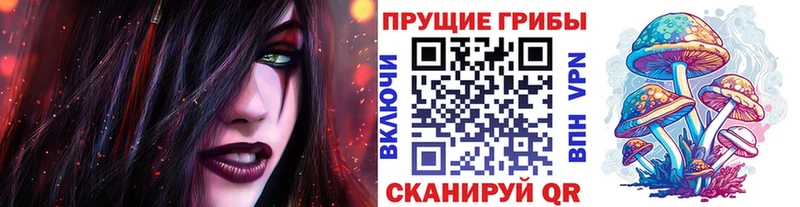 как найти   Йошкар-Ола  Псилоцибиновые грибы Psilocybe 