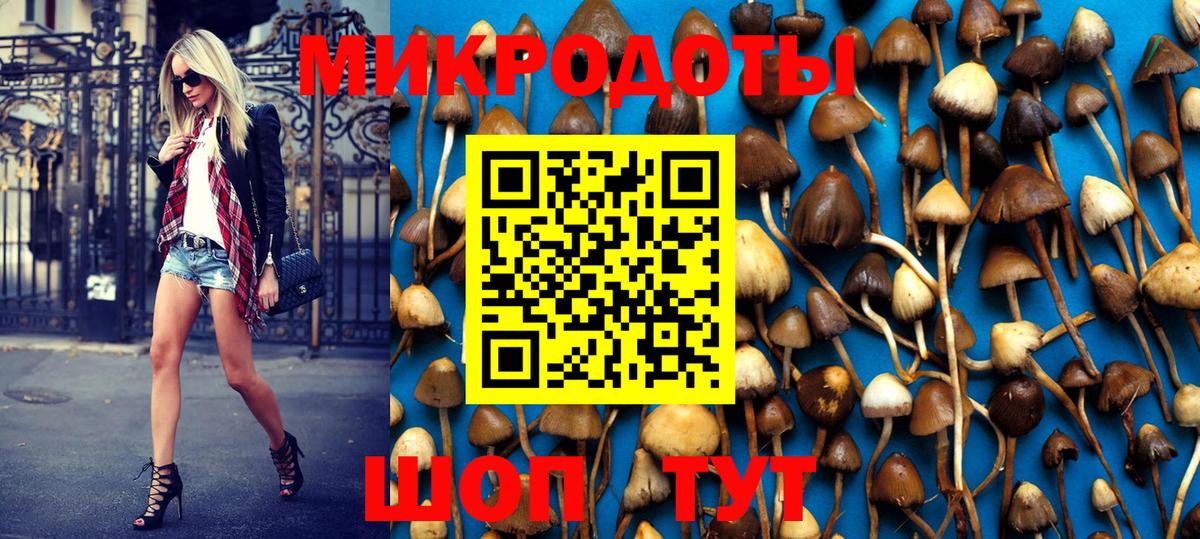 Псилоцибиновые грибы MAGIC MUSHROOMS  Вход с VPN  Йошкар-Ола 